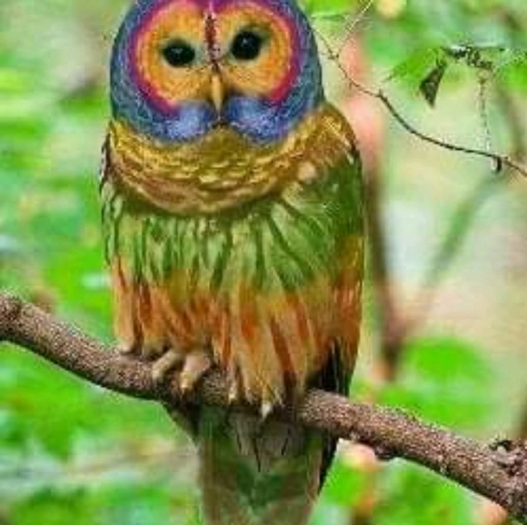 Meet your Posher, Sandra - Picture 1 of 1